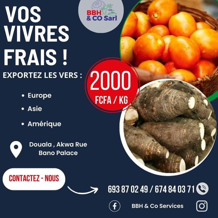 Flyer BBH & CO Sarl présentant des services de logistique Douala et d’expédition internationale. Visuels d’avion, bateau cargo et camion illustrant la livraison rapide et fiable de colis en Afrique et dans le monde.