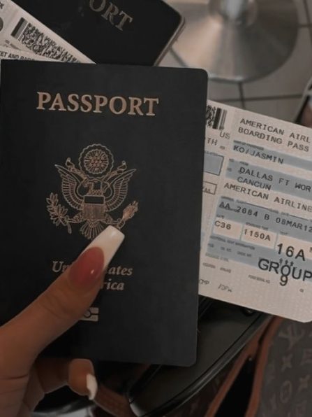 passport aesthetic rich